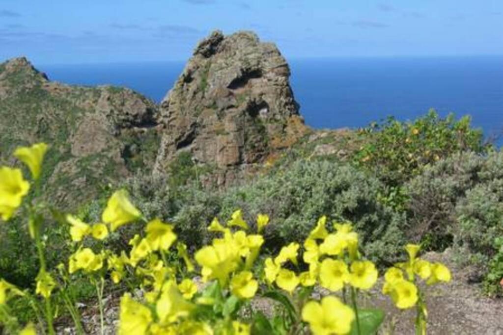 House Rural,Biosphere Reserve World.Taganana.Tfe. Santa Cruz de Tenerife Eksteriør billede